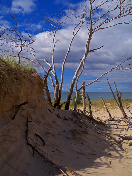 dune ludington state park